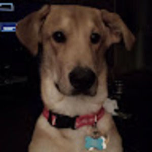 Meet your Posher, Mike